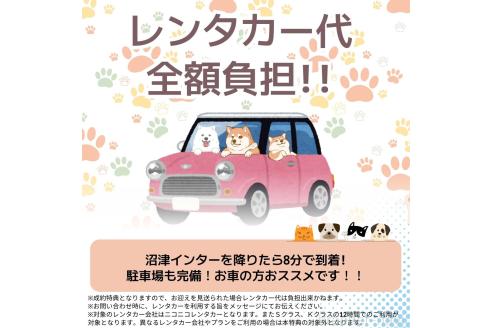 成約済の静岡県のチワワ(ロングコート)-368358の4枚目